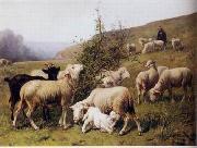 unknow artist, Sheep 165